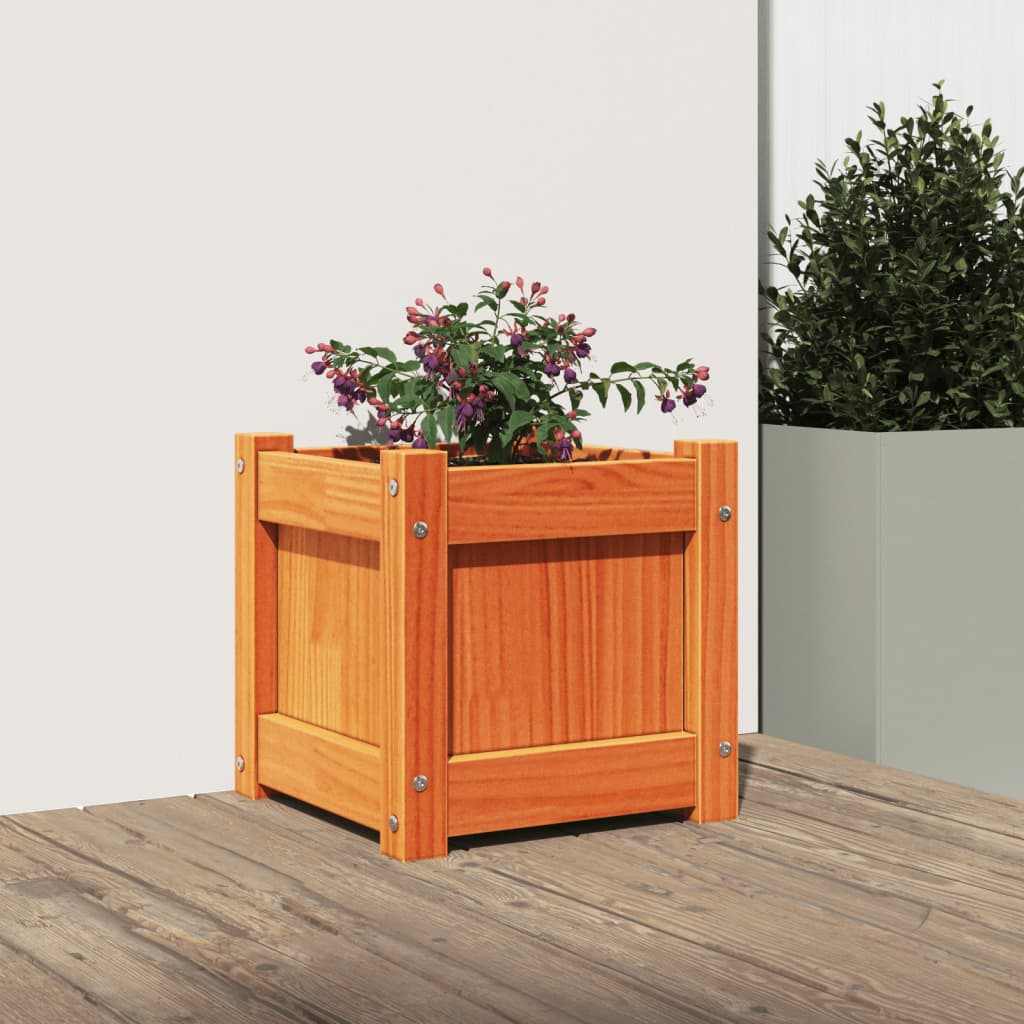 plantekasse 31x31x31 cm massivt fyrretræ gyldenbrun