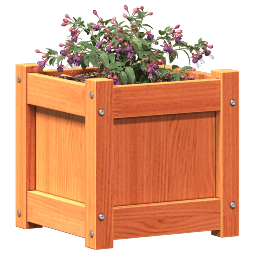 plantekasse 31x31x31 cm massivt fyrretræ gyldenbrun