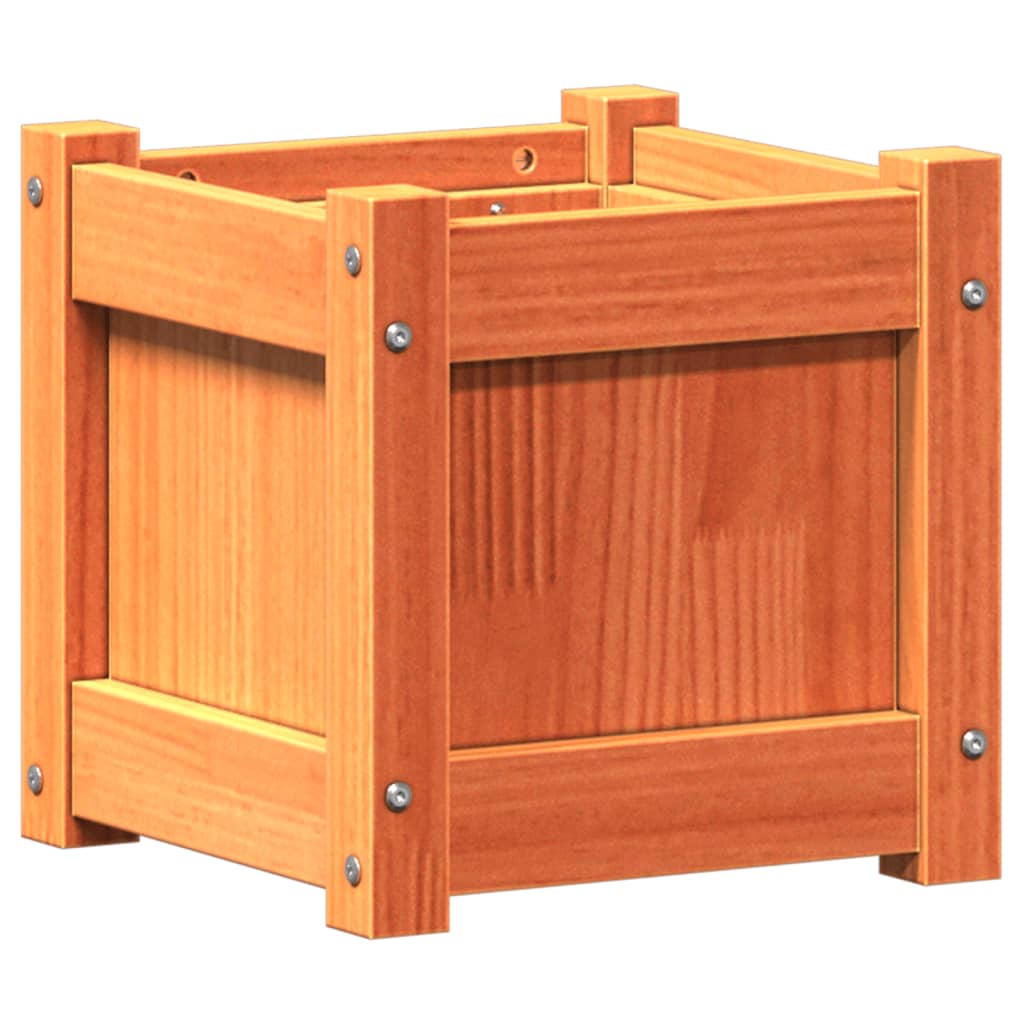 plantekasse 31x31x31 cm massivt fyrretræ gyldenbrun
