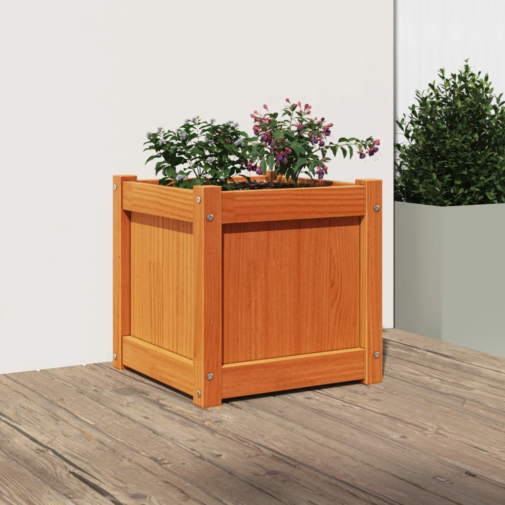 plantekasse 40x40x40 cm massivt fyrretræ gyldenbrun