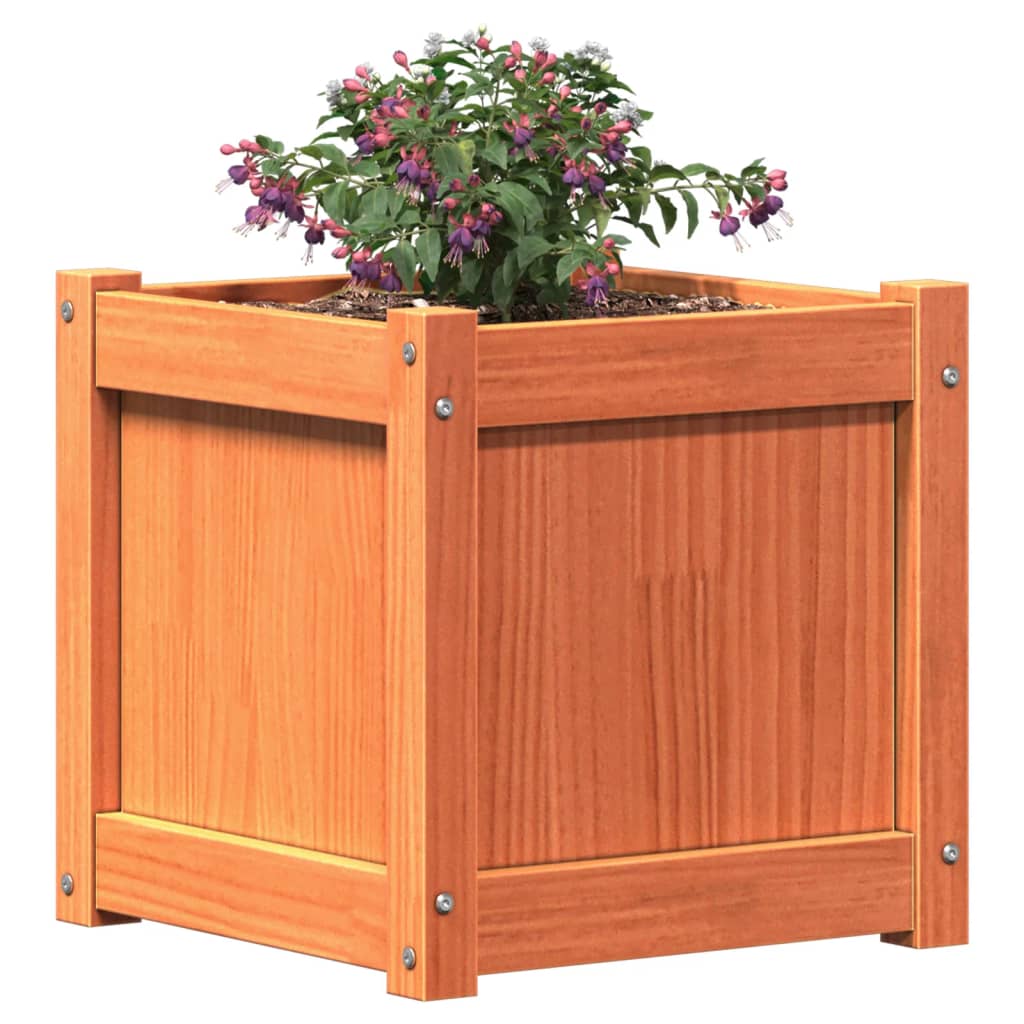 plantekasse 40x40x40 cm massivt fyrretræ gyldenbrun
