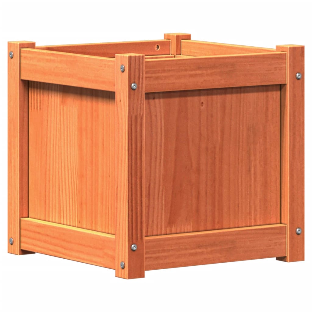 plantekasse 40x40x40 cm massivt fyrretræ gyldenbrun
