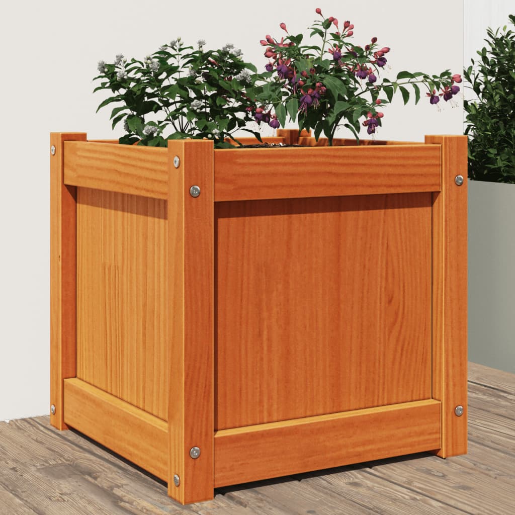 plantekasse 40x40x40 cm massivt fyrretræ gyldenbrun