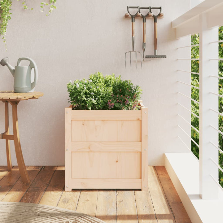 plantekasse 50x50x50 cm massivt fyrretræ
