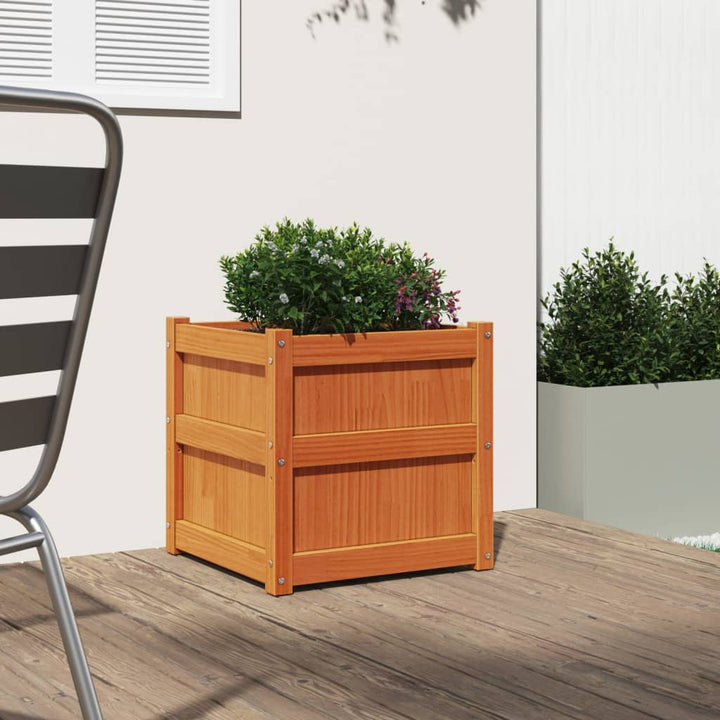 plantekasse 50x50x50 cm massivt fyrretræ gyldenbrun