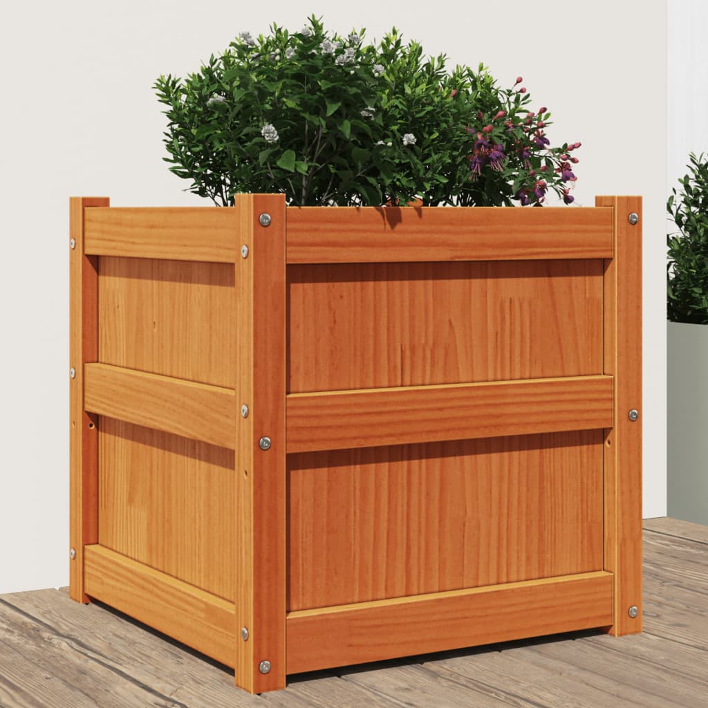 plantekasse 50x50x50 cm massivt fyrretræ gyldenbrun