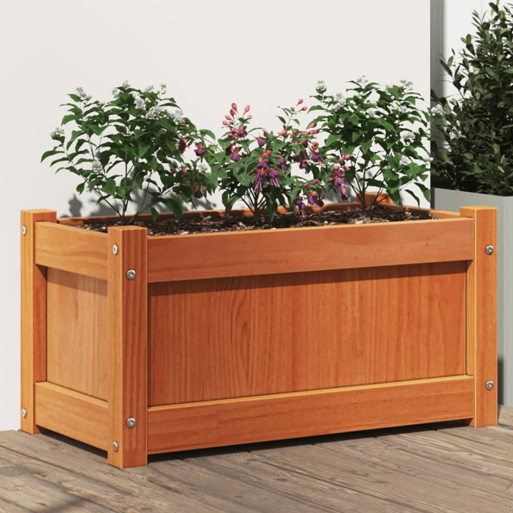 plantekasse 60x31x31 cm massivt fyrretræ gyldenbrun