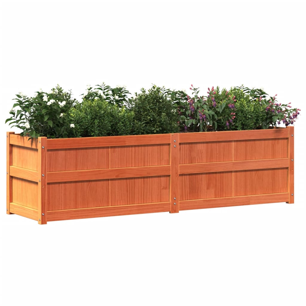 plantekasse 180x50x50 cm massivt fyrretræ gyldenbrun