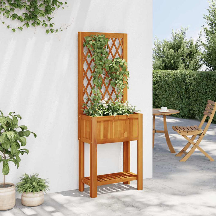 plantekasse med espalier og hylde 55x29,5x152 cm massivt akacie