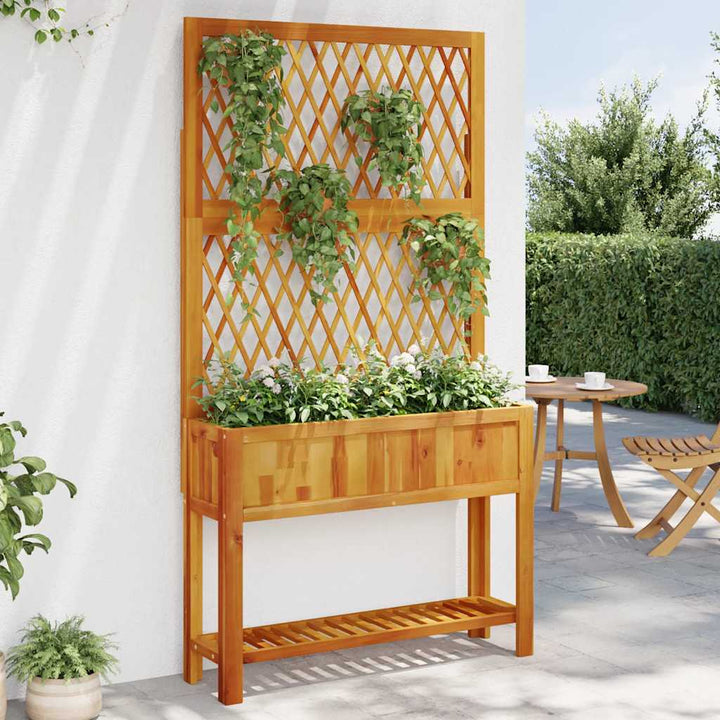 plantekasse med espalier og hylde 100x32x185 cm massivt akacie