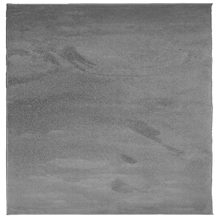 gulvtæppe OVIEDO 240x240 cm kort luv antracitgrå