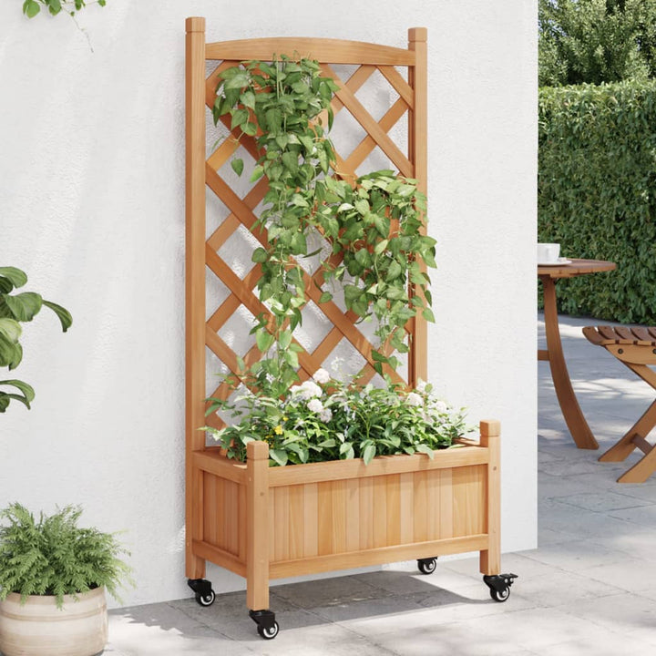 plantekasse med espalier og hjul massivt fyrretræ brun