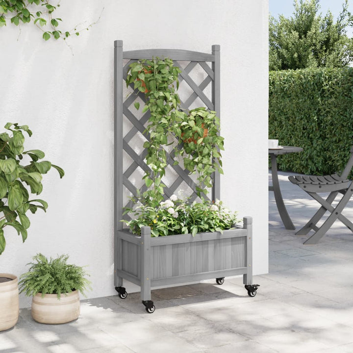 plantekasse med espalier og hjul massivt fyrretræ grå