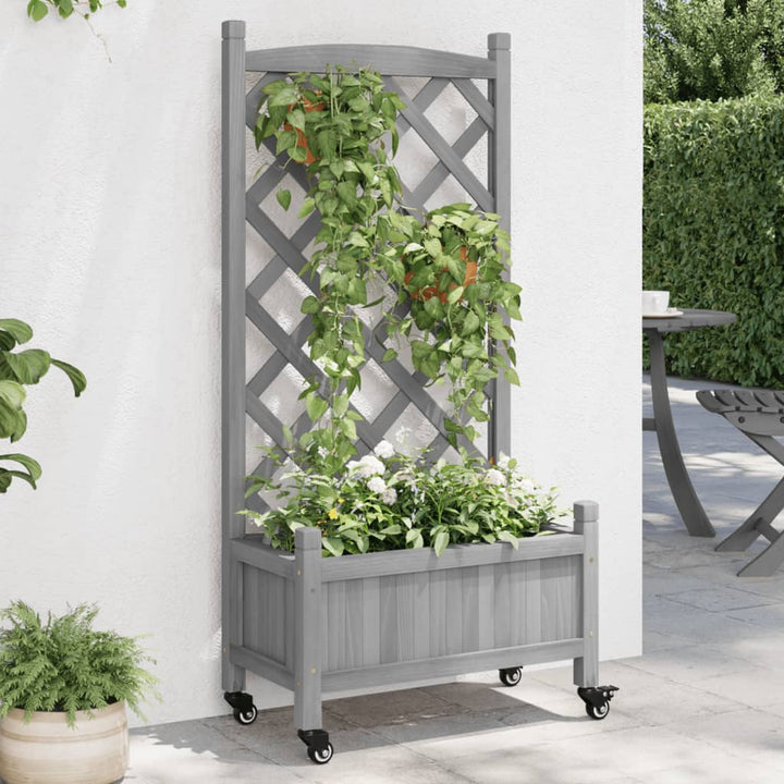 plantekasse med espalier og hjul massivt fyrretræ grå
