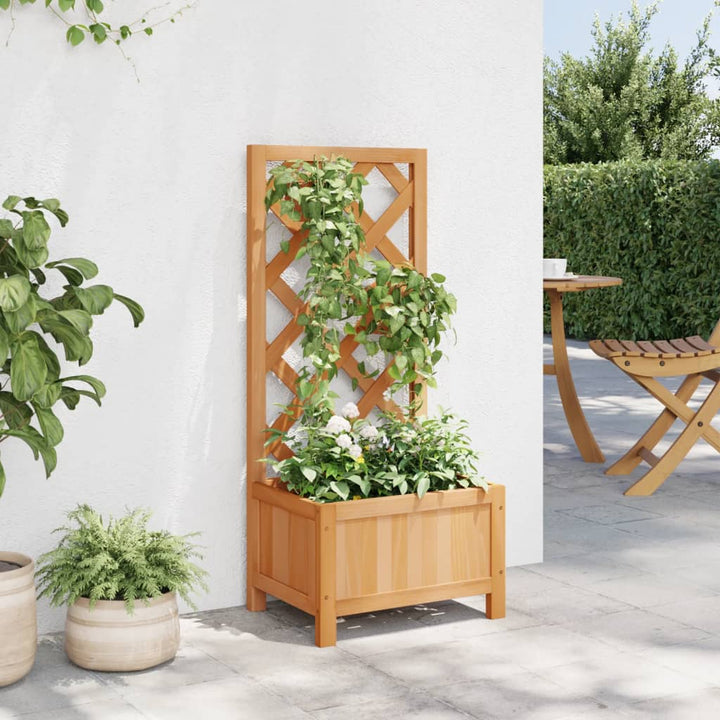 plantekasse med espalier massivt grantræ brun