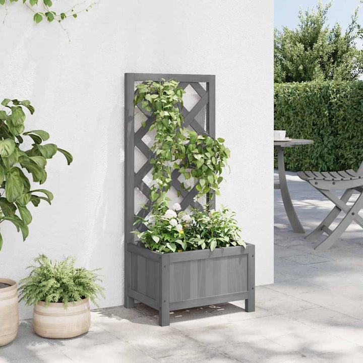 plantekasse med espalier massivt grantræ grå