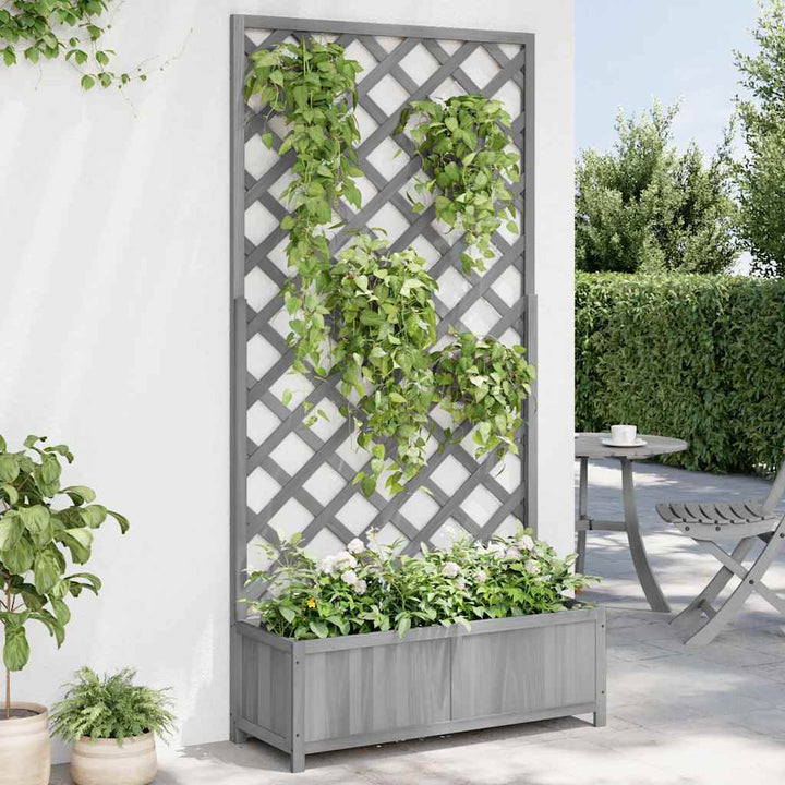 plantekasse med espalier massivt grantræ grå