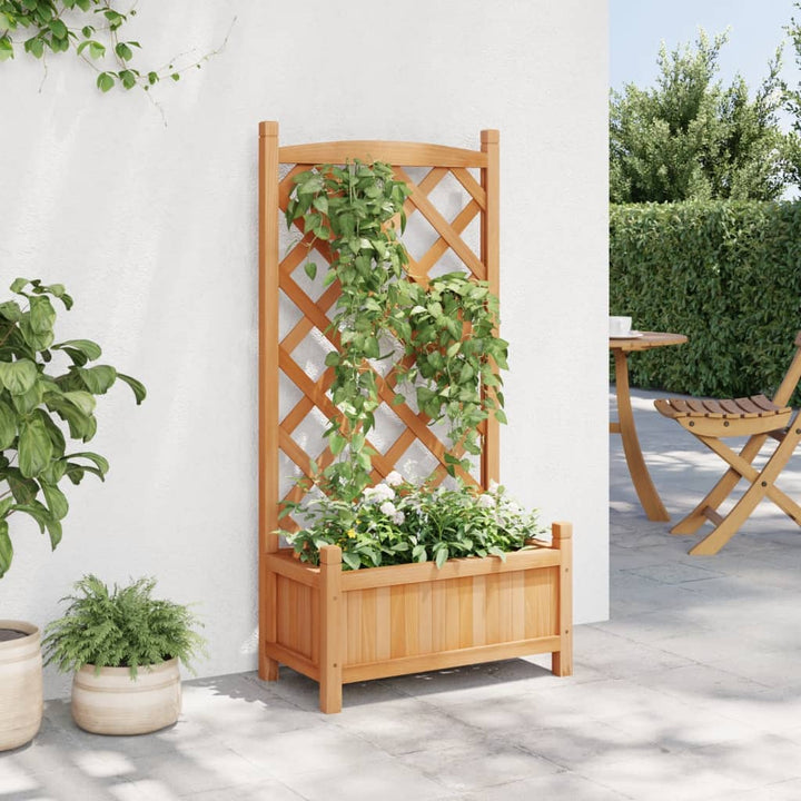 plantekasse med espalier brun 55x29,5x110 cm massivt grantræ