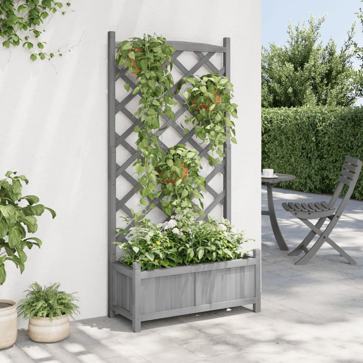 plantekasse med espalier massivt grantræ grå