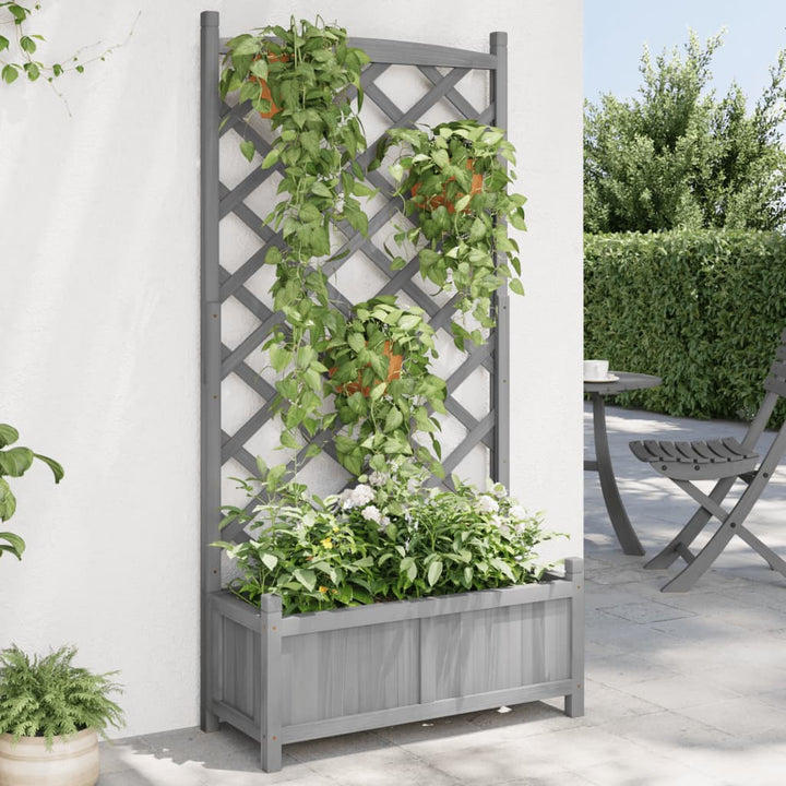 plantekasse med espalier massivt grantræ grå