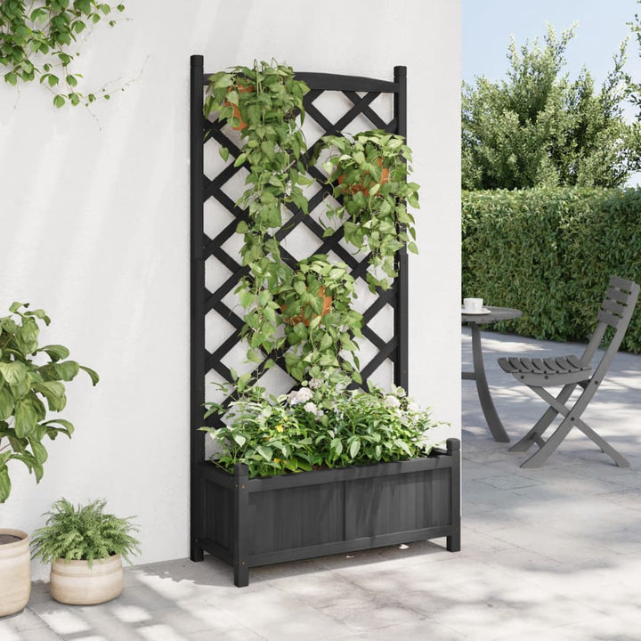 plantekasse med espalier massivt grantræ sort
