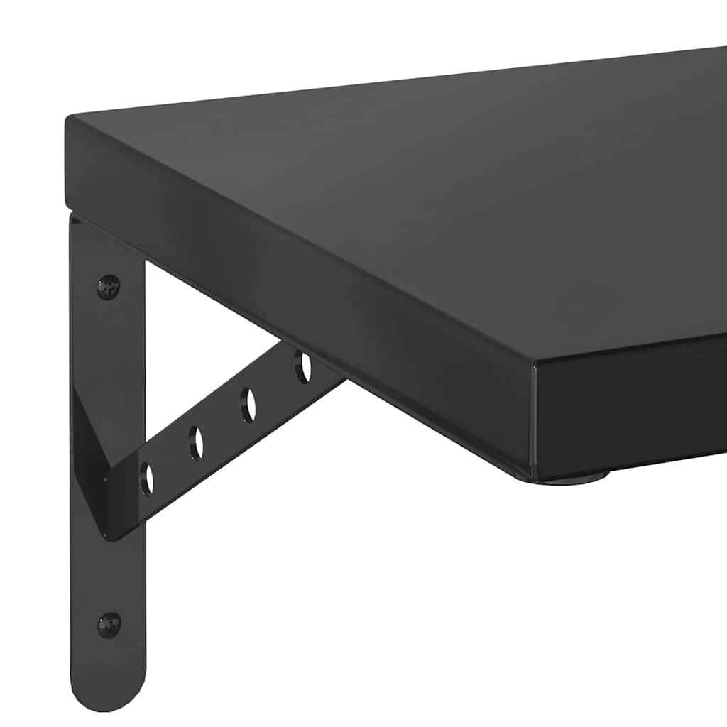 væghylder 2 stk. 100x30 cm rustfrit stål sort