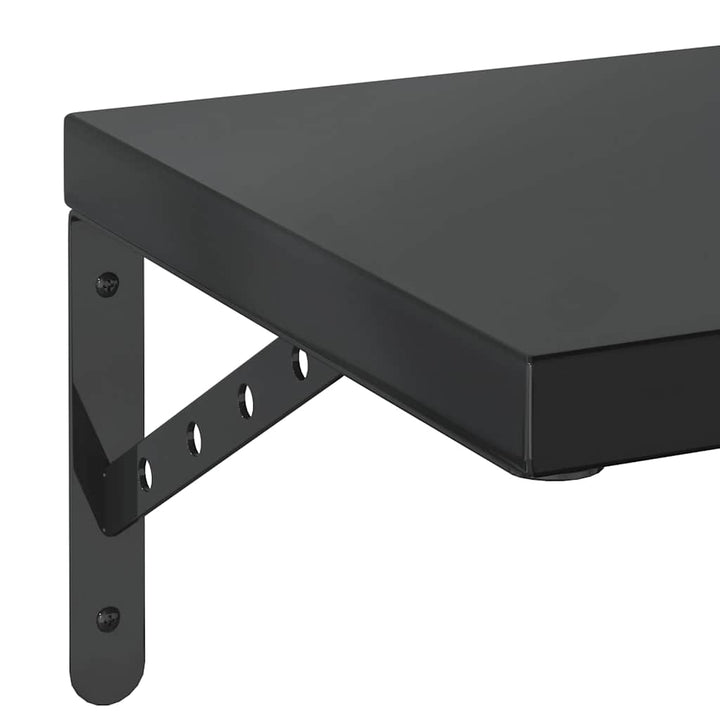 væghylder 2 stk. 100x30 cm rustfrit stål sort