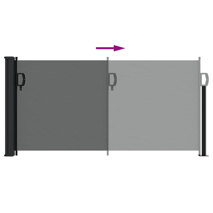 udtrækkelig sidemarkise antracit 100x300 cm