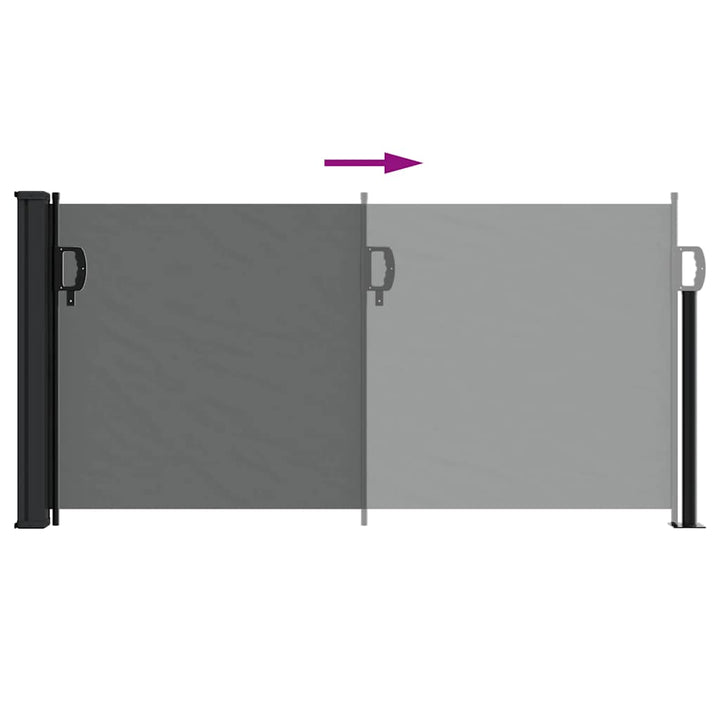 udtrækkelig sidemarkise antracit 100x300 cm