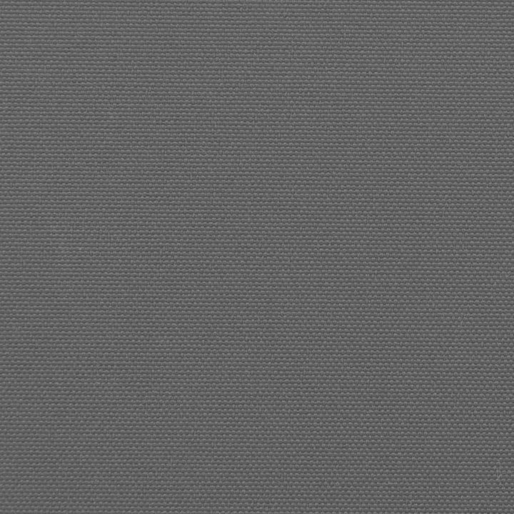 udtrækkelig sidemarkise antracit 100x300 cm