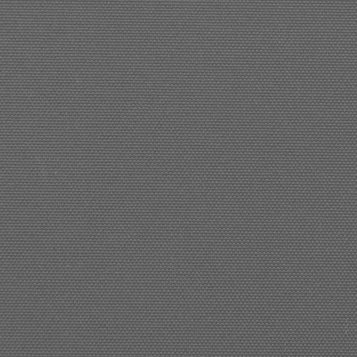 udtrækkelig sidemarkise antracit 117x300 cm