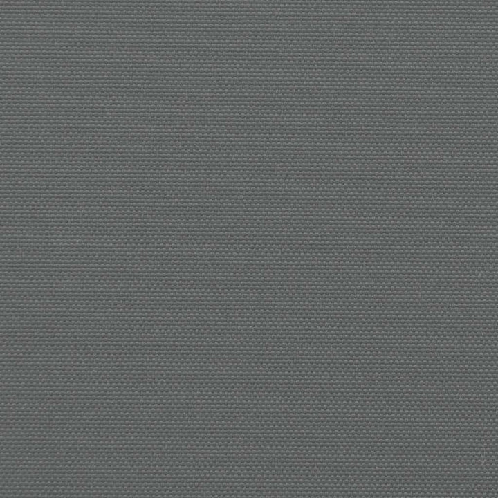 udtrækkelig sidemarkise antracit 160x300 cm