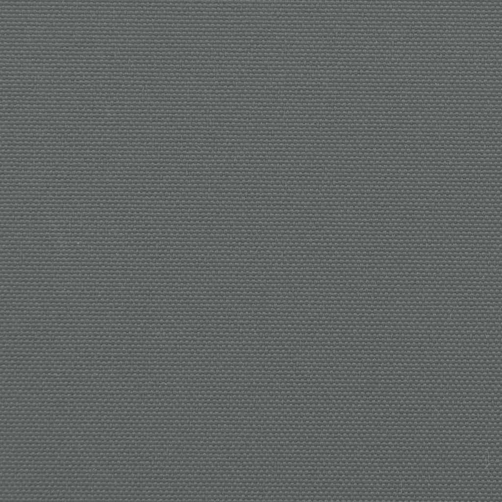 udtrækkelig sidemarkise antracit 200x300 cm