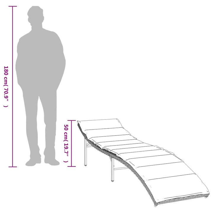 liggestole 2 stk. med hynder polyrattan sort