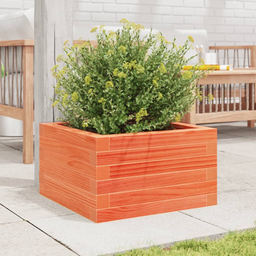 plantekasse 40x40x23 cm massivt fyrretræ gyldenbrun
