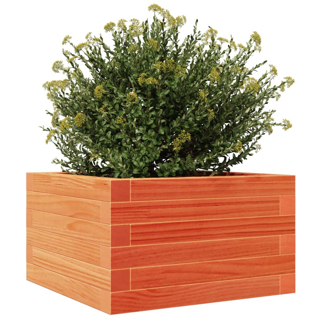 plantekasse 40x40x23 cm massivt fyrretræ gyldenbrun