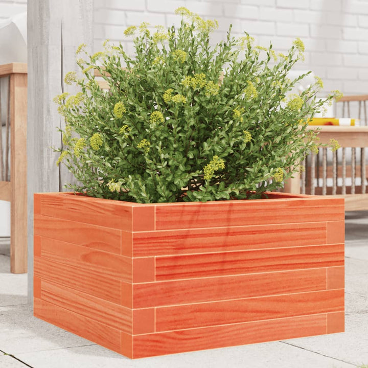 plantekasse 40x40x23 cm massivt fyrretræ gyldenbrun
