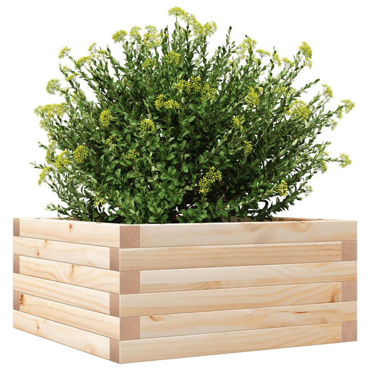 plantekasse 50x50x23 cm massivt fyrretræ