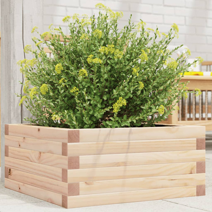 plantekasse 50x50x23 cm massivt fyrretræ