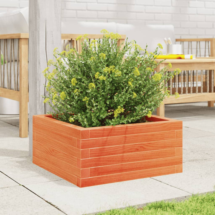 plantekasse 50x50x23 cm massivt fyrretræ gyldenbrun