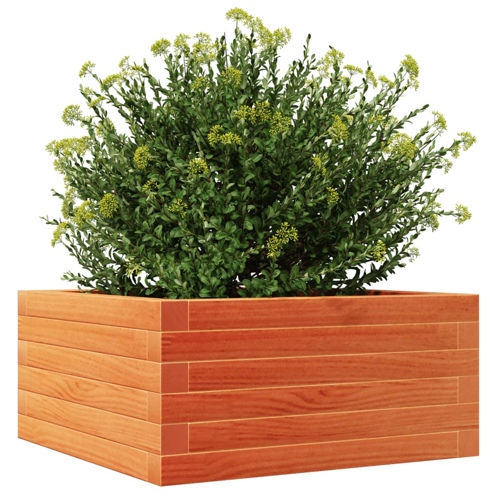 plantekasse 50x50x23 cm massivt fyrretræ gyldenbrun