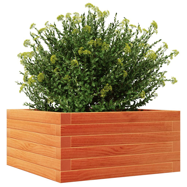 plantekasse 50x50x23 cm massivt fyrretræ gyldenbrun