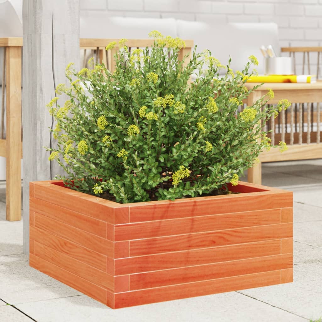plantekasse 60x60x23 cm massivt fyrretræ gyldenbrun
