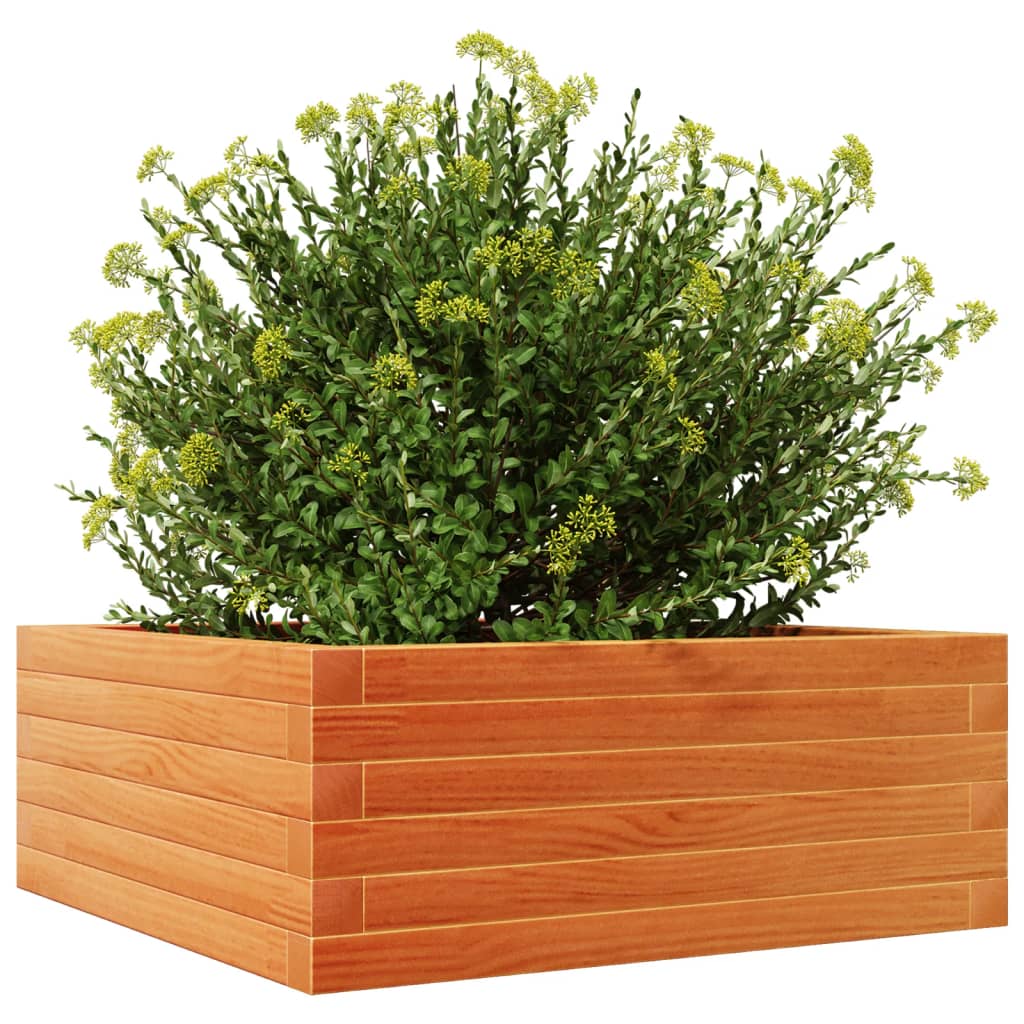 plantekasse 60x60x23 cm massivt fyrretræ gyldenbrun