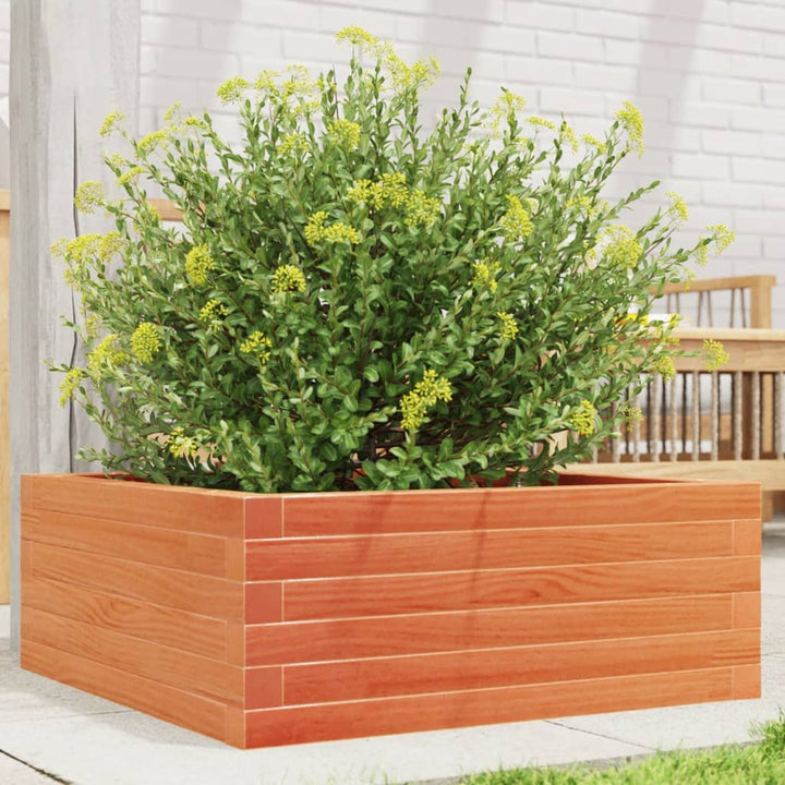 plantekasse 60x60x23 cm massivt fyrretræ gyldenbrun