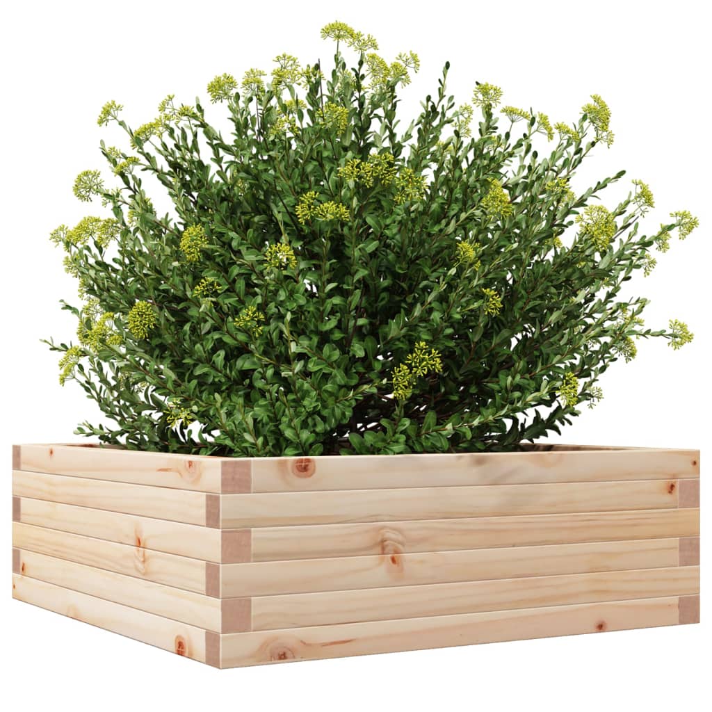 plantekasse 70x70x23 cm massivt fyrretræ