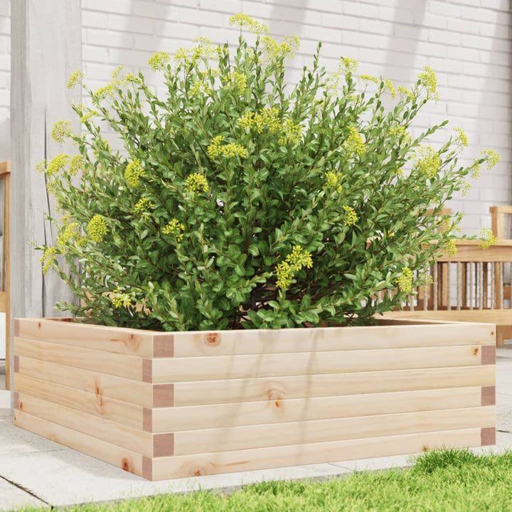 plantekasse 70x70x23 cm massivt fyrretræ