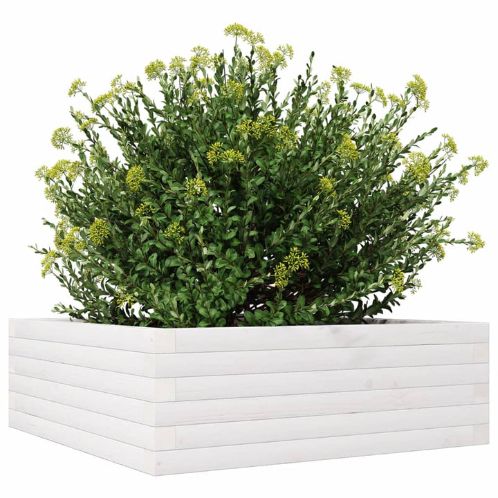 plantekasse 70x70x23 cm massivt fyrretræ hvid