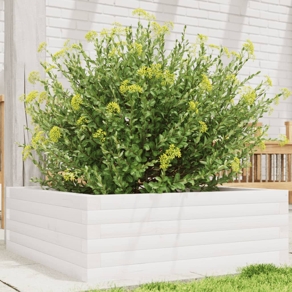 plantekasse 70x70x23 cm massivt fyrretræ hvid