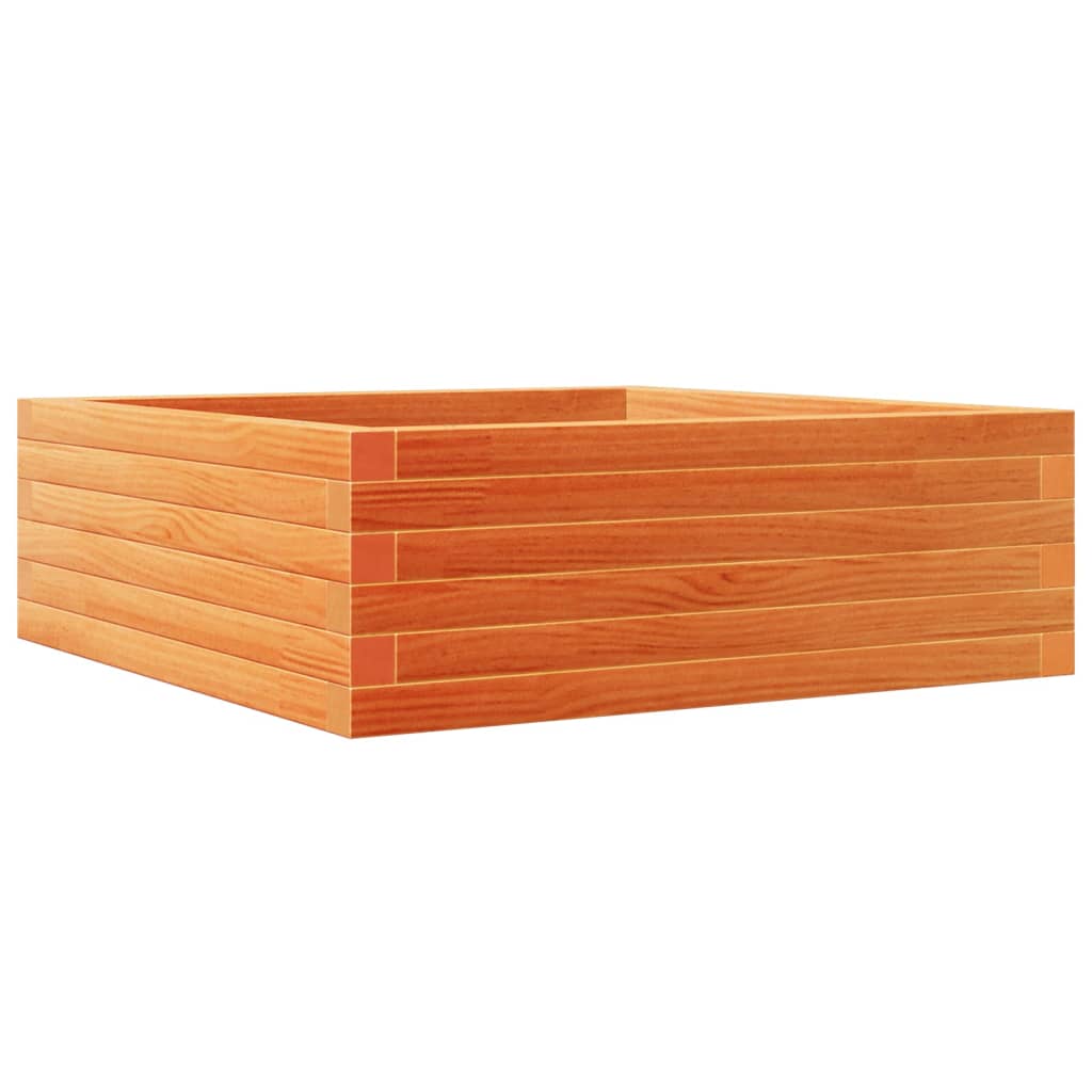 plantekasse 70x70x23 cm massivt fyrretræ gyldenbrun